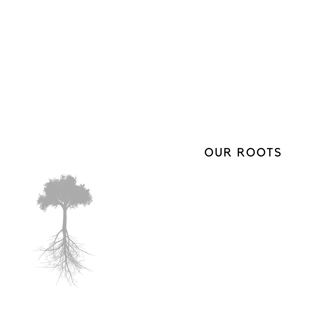 Our Roots