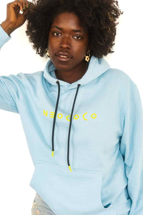 100% cotton hooded sweatshirt Powder Blue